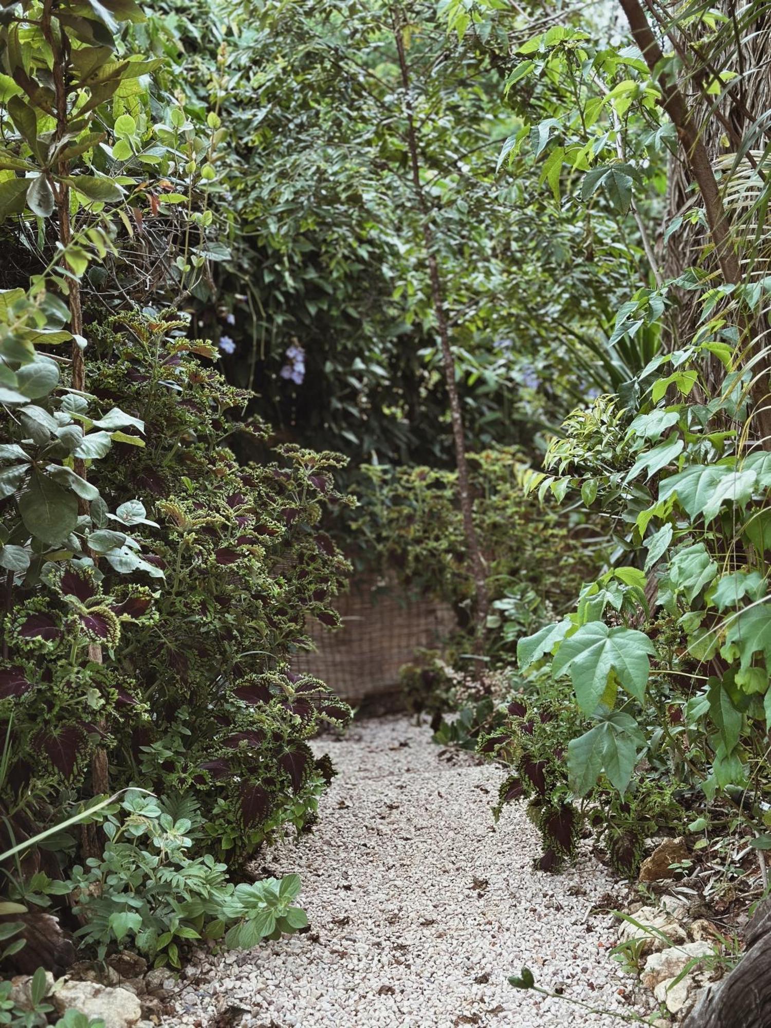 Vila Abaton Alto Paraíso de Goiás 外观 照片