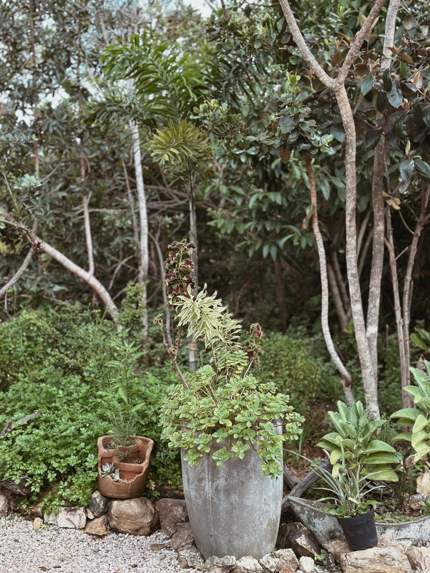 Vila Abaton Alto Paraíso de Goiás 外观 照片